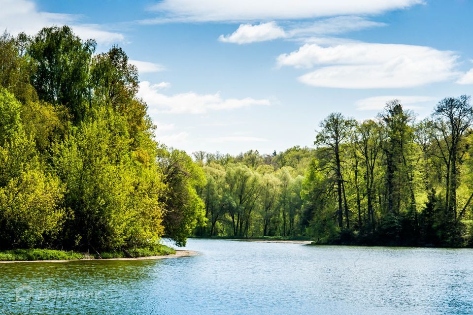 земля городской округ Ступино с Семёновское Коттеджный посёлок Shelkovo River фото 10