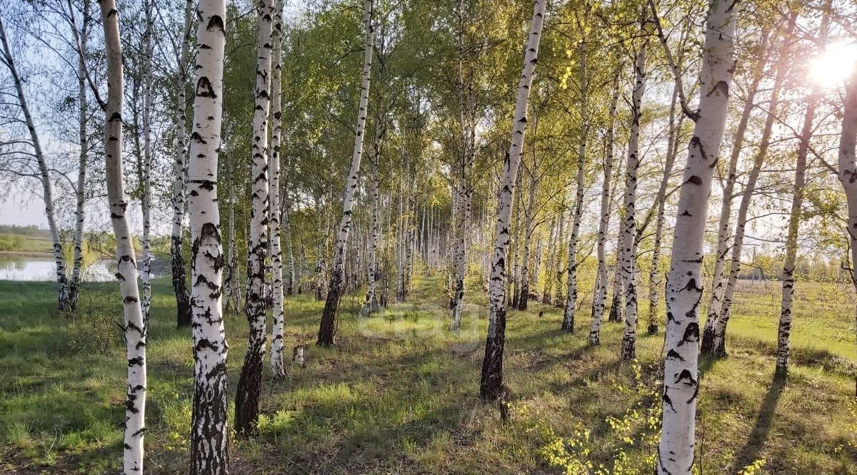 земля р-н Тамбовский с Малиновка 1-я, ул. Панорамная, 73 фото 3