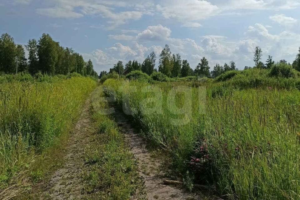 земля р-н Нижнетавдинский ДНТ Сочинские, 36-я линия фото 1