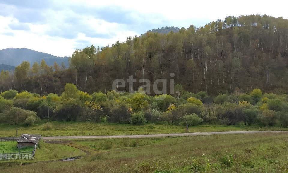 земля р-н Шебалинский Камлак фото 1