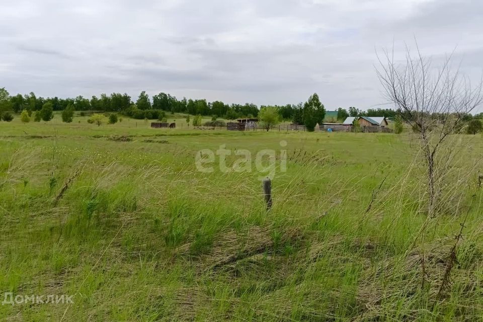 земля городской округ Сосновоборск, Сосновоборск фото 4