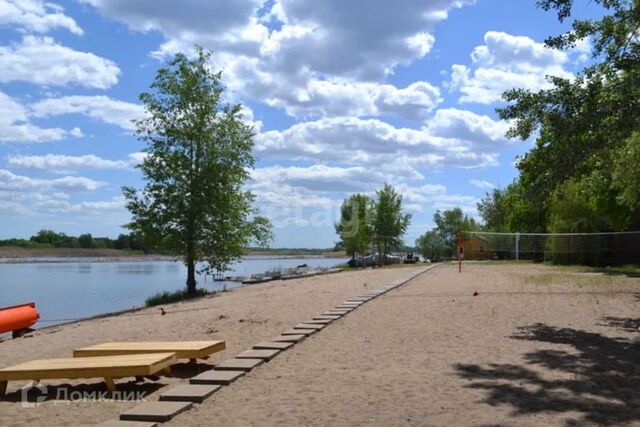 Саратов городской округ, остров Дубовая Грива фото