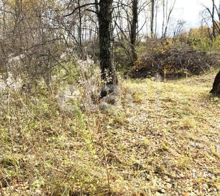 земля г Тула р-н Пролетарский Тула городской округ, СНТ Медвенка фото 10