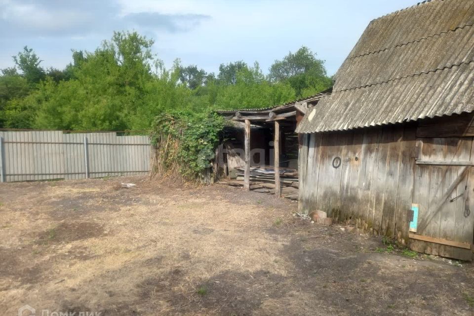 дом р-н Воскресенский д. Андреевка фото 5