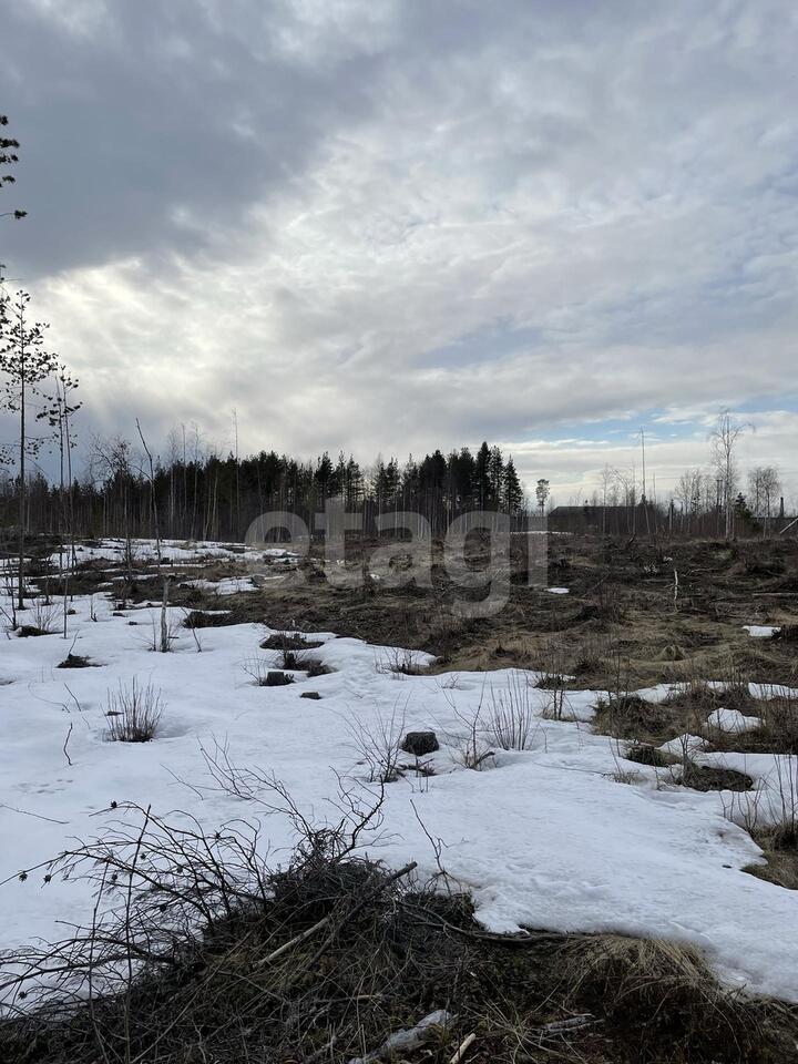 земля г Архангельск КИЗ Исакогорка р-н Исакогорский округ 144 фото 7