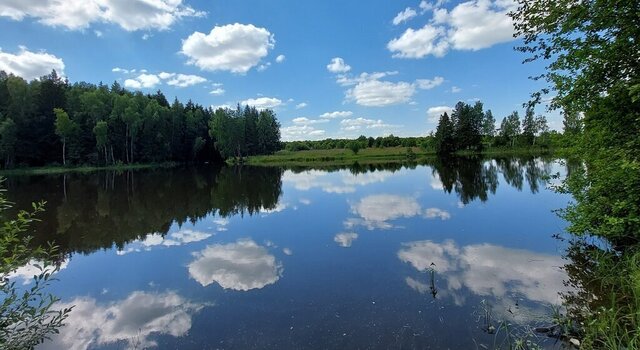 д Старомихайловское сельское поселение Ворсино фото