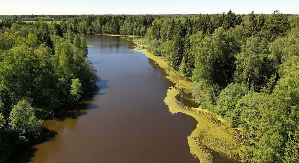 земля городской округ Волоколамский территориальный отдел Спасский фото 13