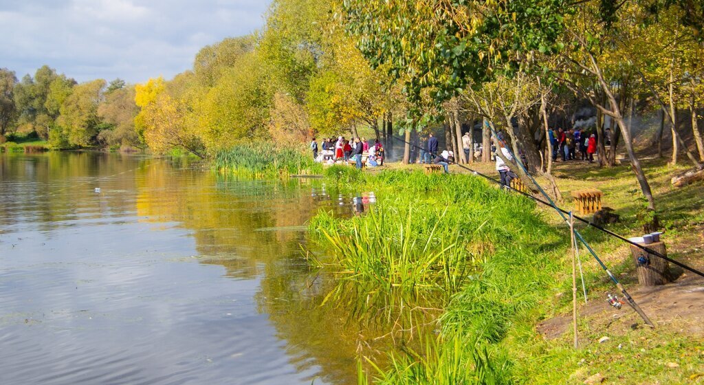 земля городской округ Раменский территориальное управление Кузнецовское фото 12