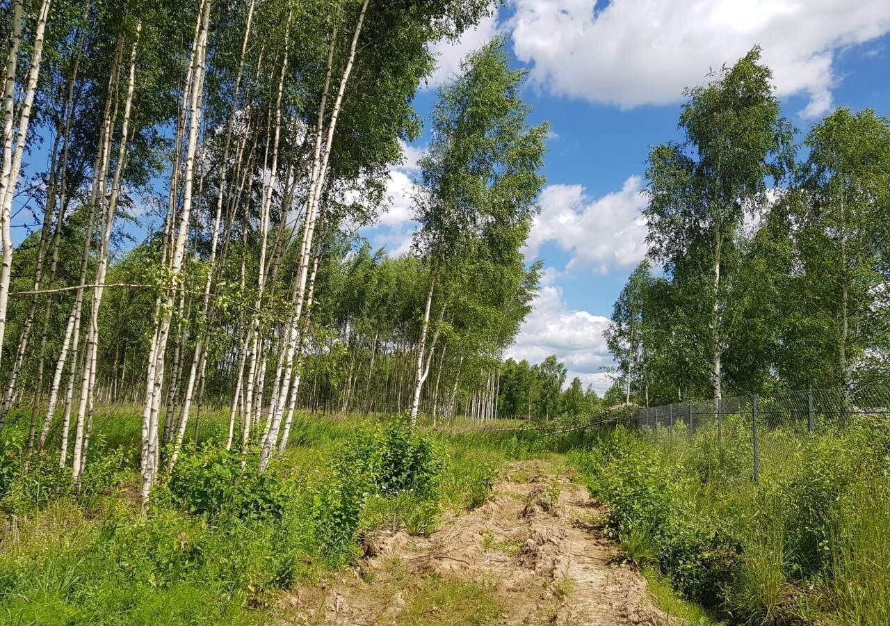 земля городской округ Дмитровский д Капорки 41 км, Яхрома, Дмитровское шоссе фото 38