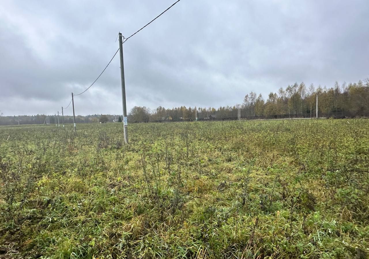 земля городской округ Клин д Кореньки 56 км, Новопетровское, Ленинградское шоссе фото 13