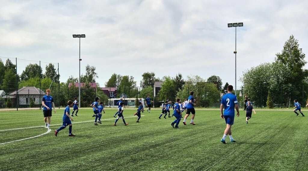 земля городской округ Раменский д Обухово ул Центральная 12 Ипподром фото 13