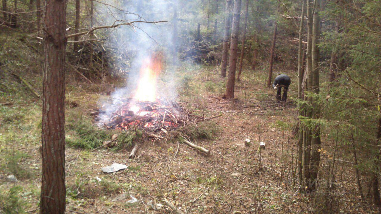 земля городской округ Пушкинский п Правдинский КП Кстининское озеро, 153 фото 3