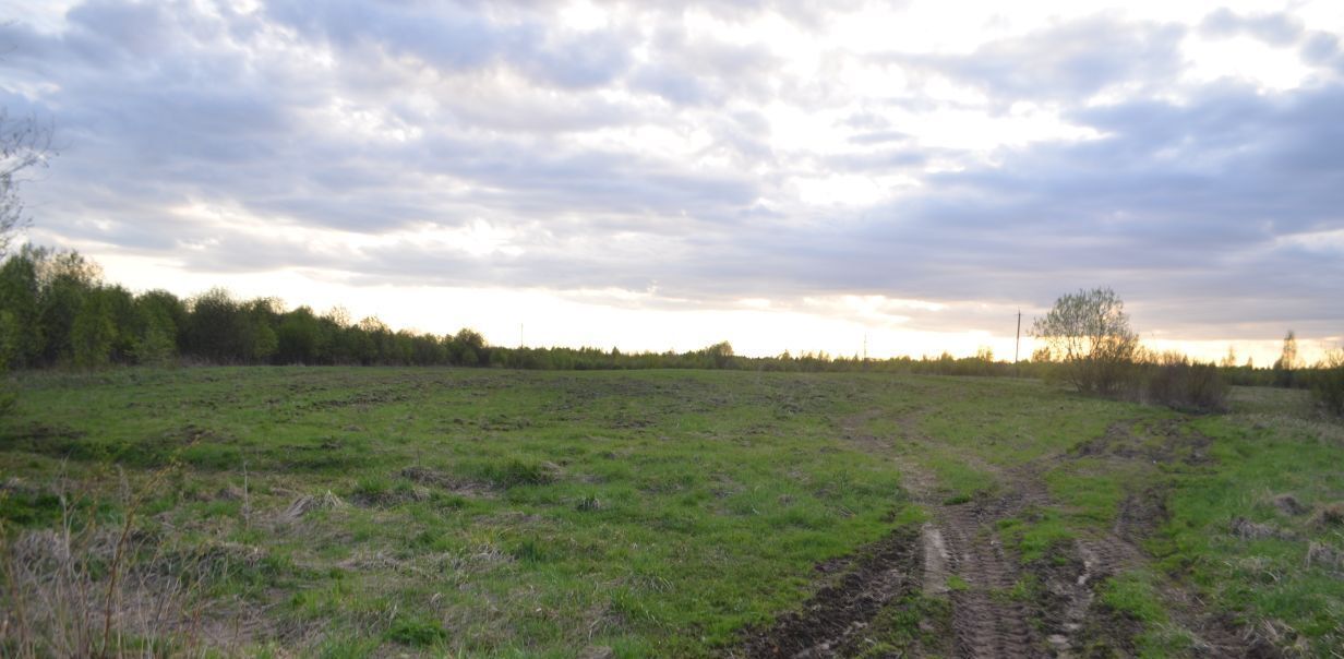 земля р-н Новгородский д Новоселицы ул Молодежная Савинское с/пос фото 3