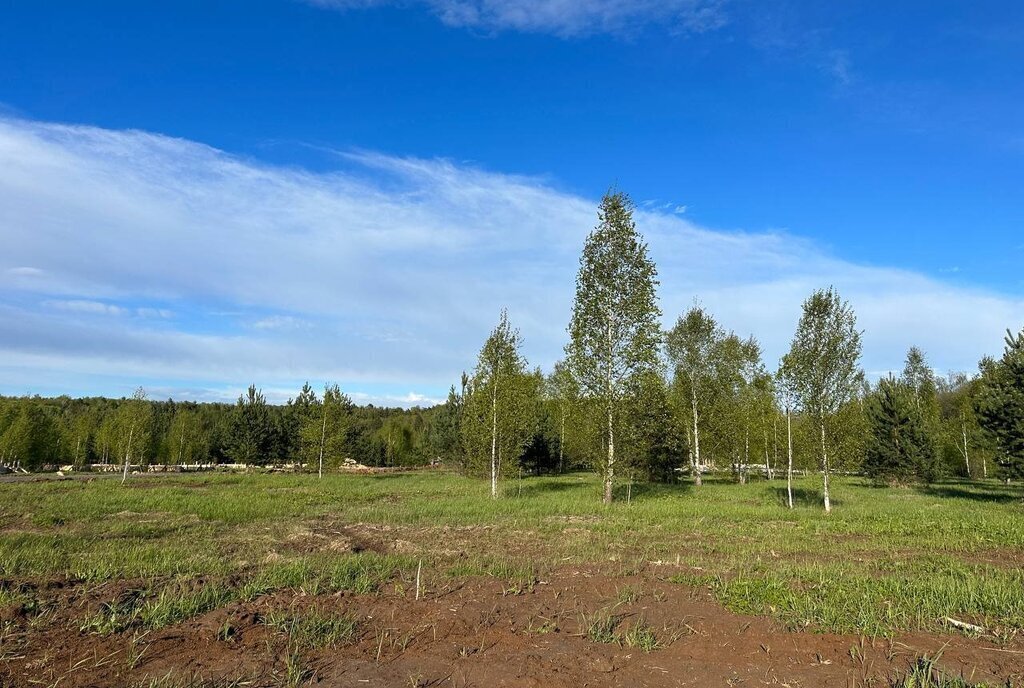 земля городской округ Раменский д Тяжино ул Клубничная фото 6