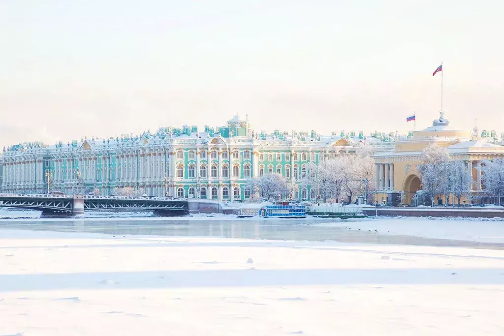 квартира г Санкт-Петербург метро Пушкинская пер Джамбула 7б Ленинградская область фото 30