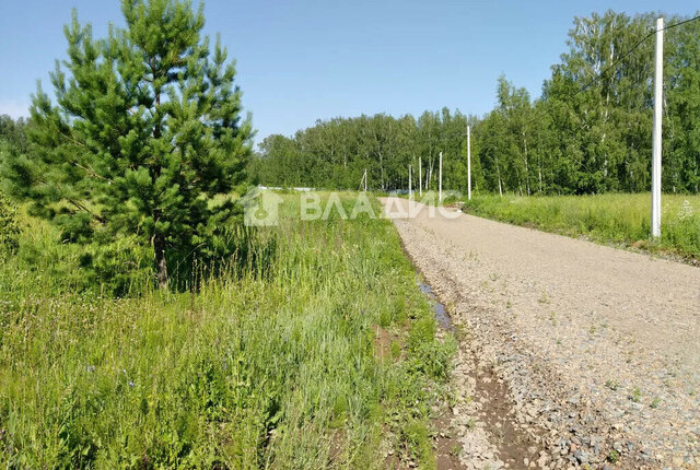 земля с Новокаменка пер Российский Станционный сельсовет, Заельцовская фото