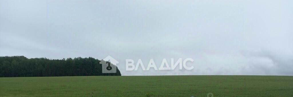 офис г Владимир д Аббакумово ул Новая р-н Октябрьский фото 3
