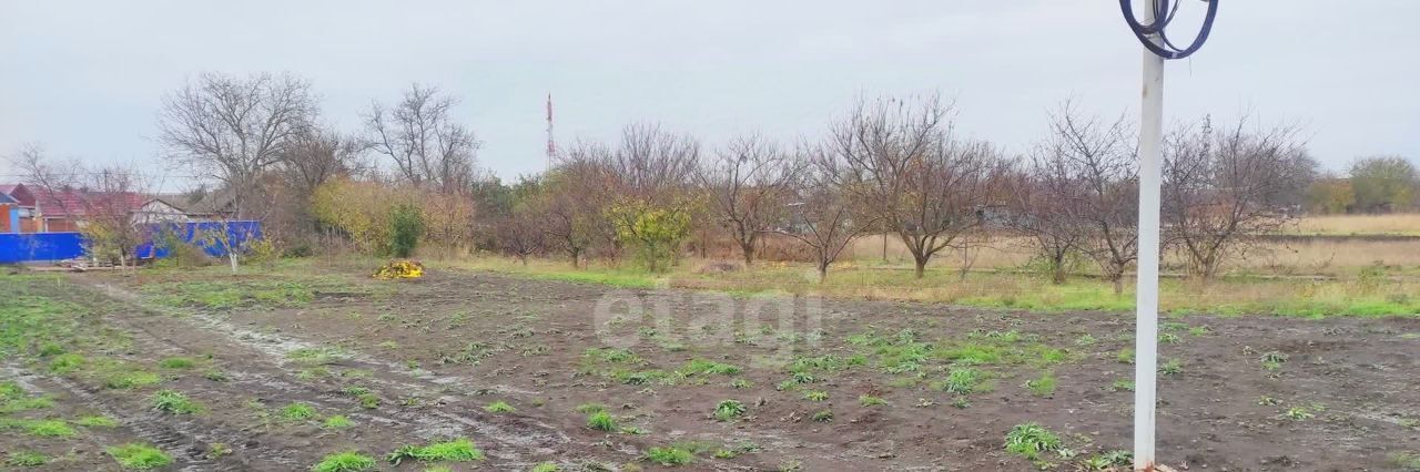 земля р-н Ейский с Александровка ул Совхозная Александровское с/пос фото 4