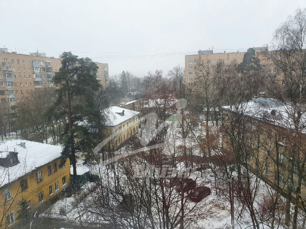 квартира г Пушкино ул Чехова 16а фото 11
