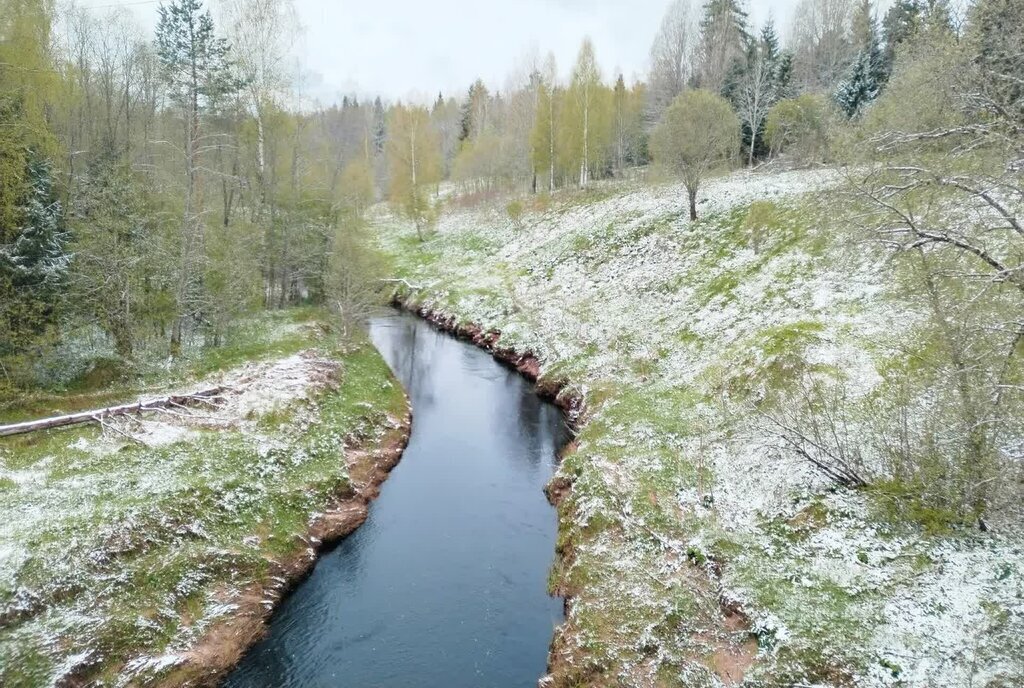 земля р-н Киришский д Клинково ул Центральная Будогощское городское поселение фото 11