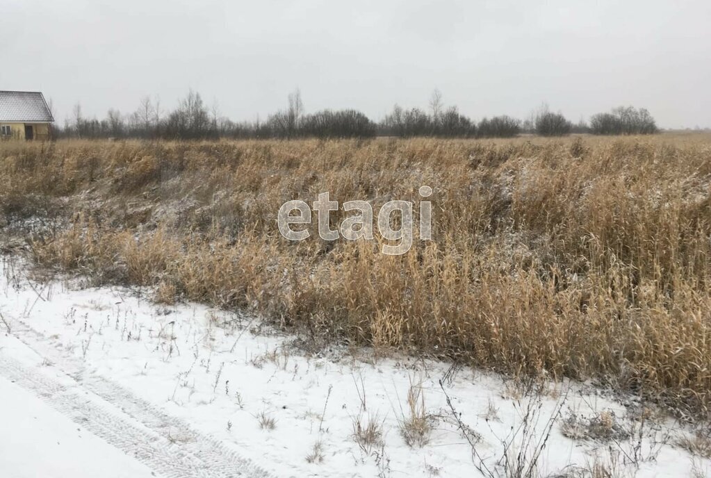 земля р-н Новгородский д Большое Подсонье Борковское сельское поселение фото 6