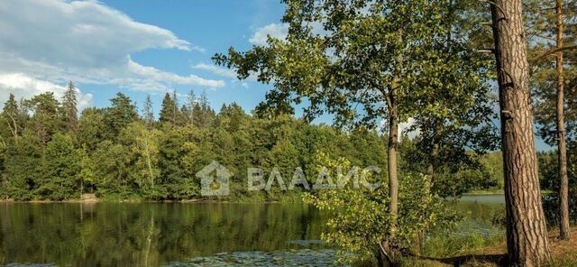 земля д Ладога Вяткинское муниципальное образование, Ладога нью кп фото