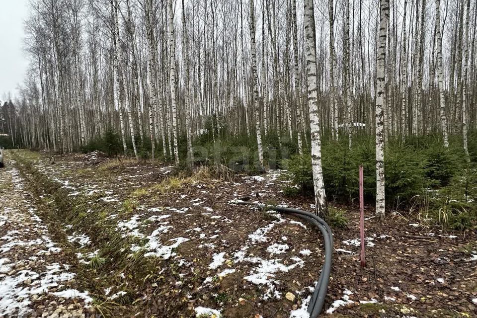 земля городской округ Ступино д Шелково Коттеджный посёлок Shelkovo Forest фото 2