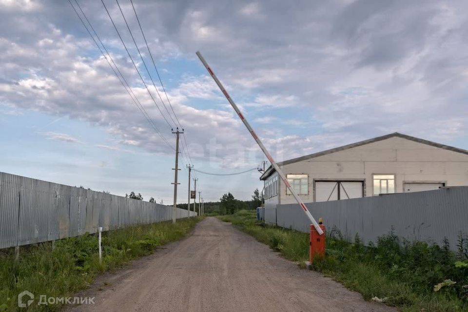 земля р-н Всеволожский Росток-Соржа фото 2