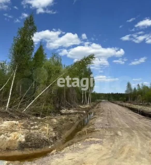 земля р-н Всеволожский фото 2