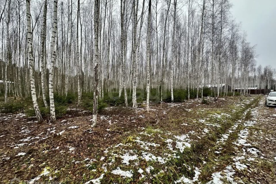 земля городской округ Ступино д Шелково Коттеджный посёлок Shelkovo Forest фото 6