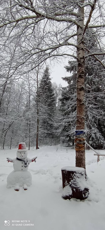 земля р-н Жуковский д Никольские хутора фото 15