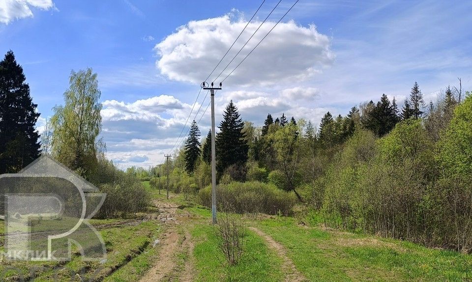 земля городской округ Клин д. Ивановское фото 6