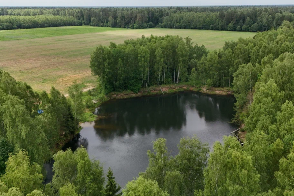 земля Черноголовка городской округ, деревня Старки фото 4