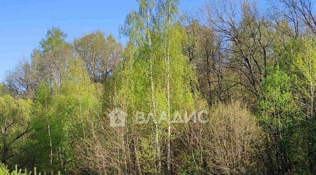 земля д Бородино ул Слободская 1 Новоалександровское муниципальное образование фото