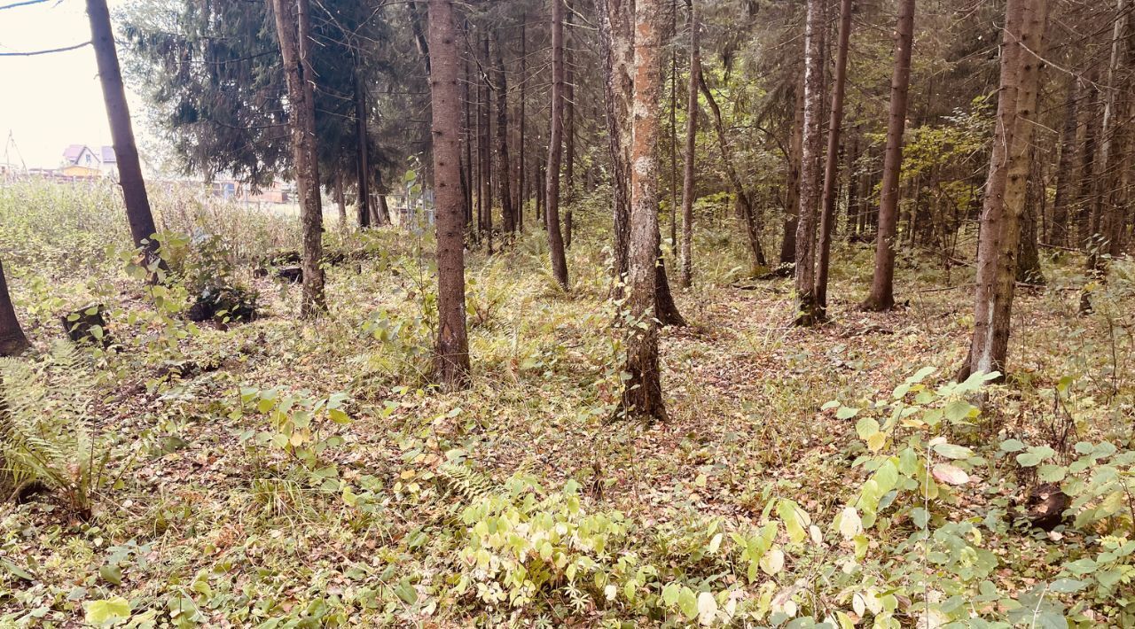 земля городской округ Пушкинский Северный Берег дп, 194 фото 3