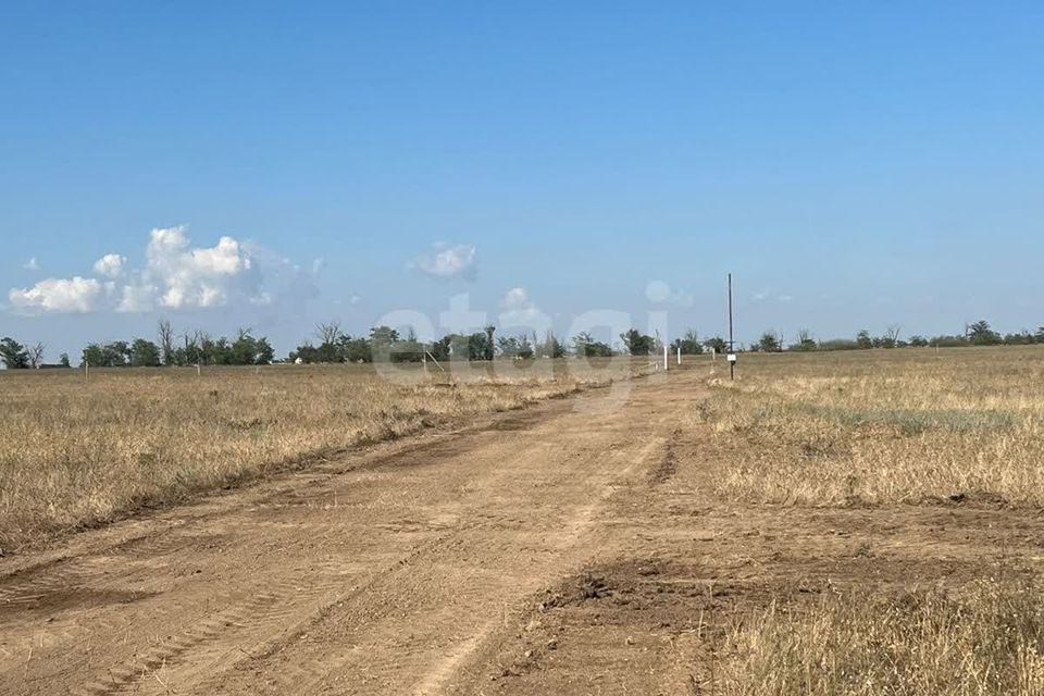 земля р-н Сакский с Витино ул Гагарина 31 Молочненское сельское поселение фото 3