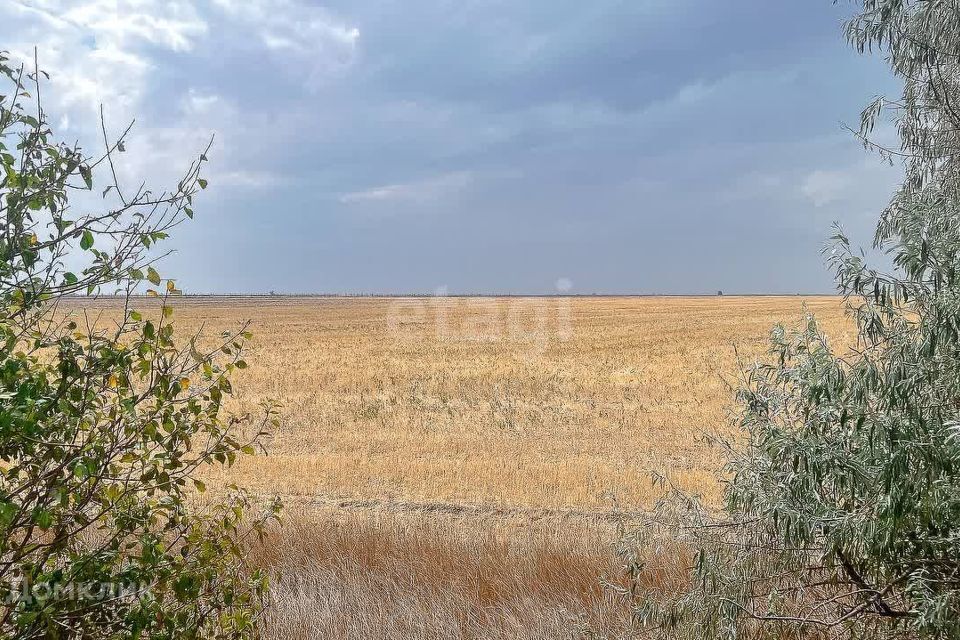 земля р-н Ленинский Каменское фото 4