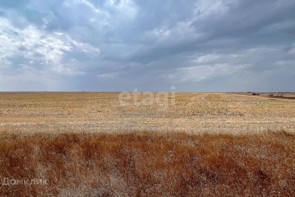 земля р-н Ленинский Каменское фото 3