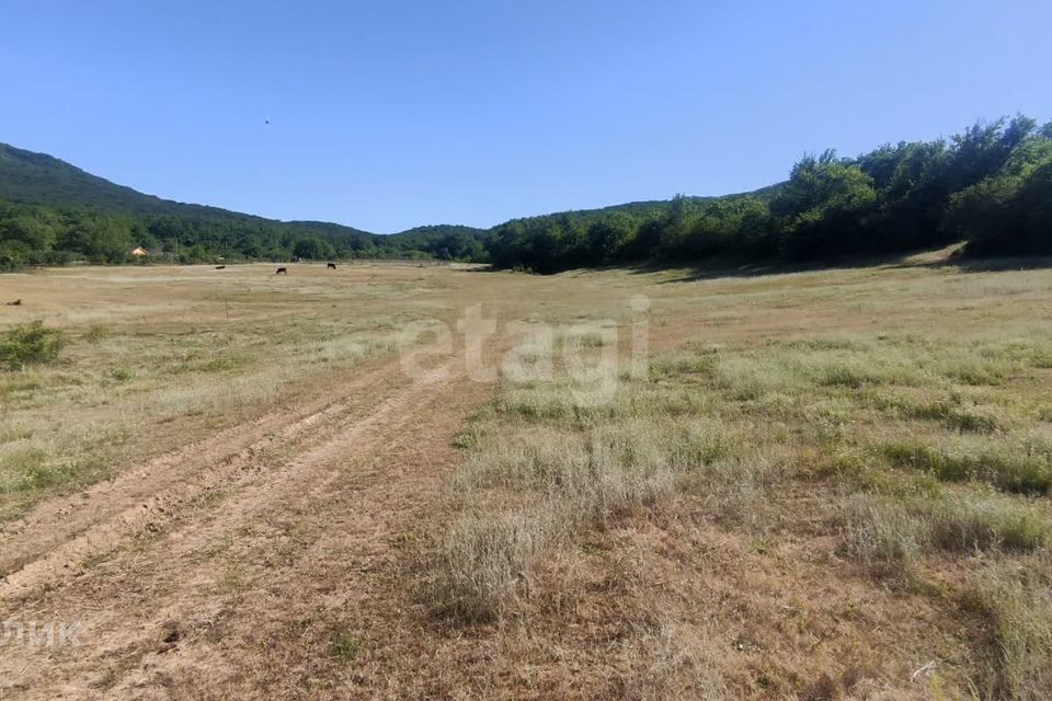 земля р-н Белогорский с Земляничное ул Лесная фото 4