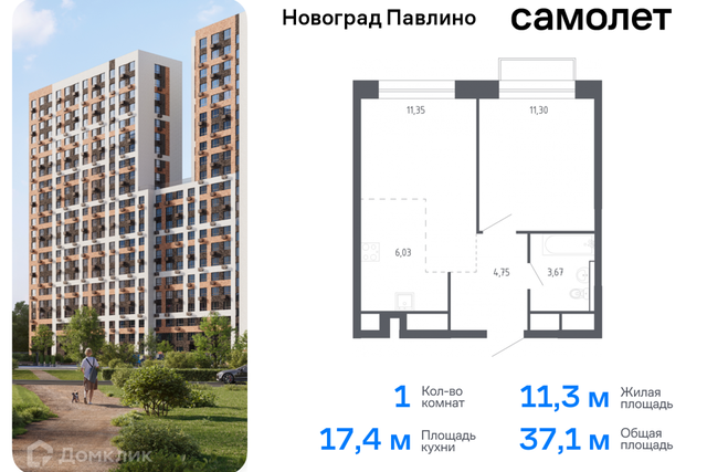 Балашиха городской округ, Новое Павлино м-н фото