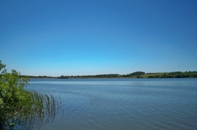 земля городской округ Шаховская д Филенино 123 км, Новорижское шоссе фото 3