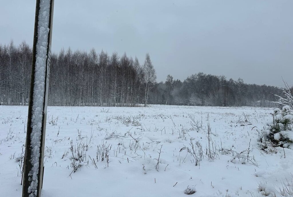 земля городской округ Истра д Сафонтьево днп терСафонтьевские дачи фото 23