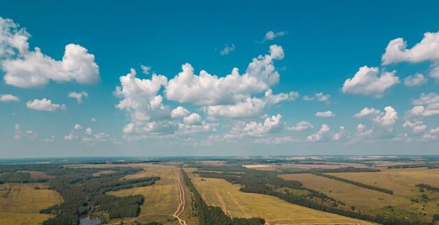 ул Центральная Бишнинское с/пос фото