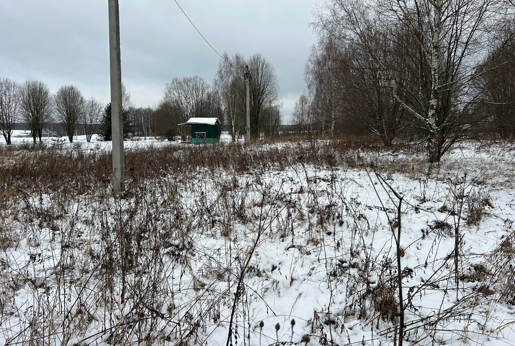 земля р-н Александровский д Данилково муниципальное образование Каринское, Лизуновский сельский округ, улица Комарова фото 20