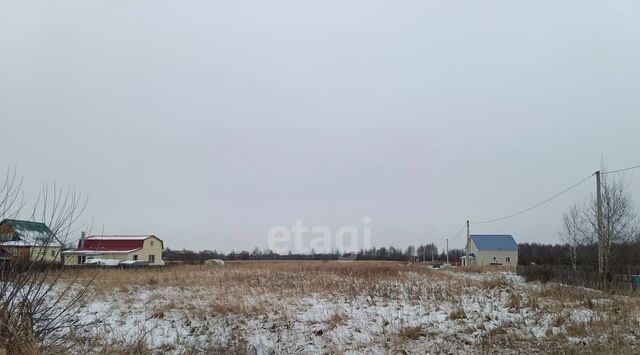 с Ольша Смоленский муниципальный округ фото