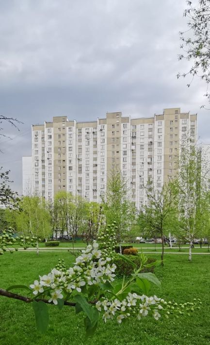 квартира г Москва метро Коньково ул Академика Арцимовича 11 фото 14