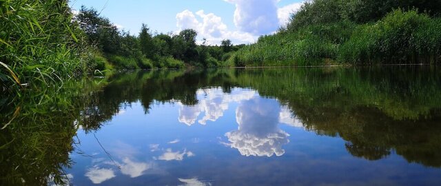 земля д Павельцево фото