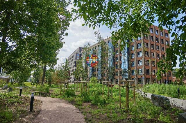 р-н Петроградский ул Ремесленная 7ж Петровский округ, Ленинградская область фото