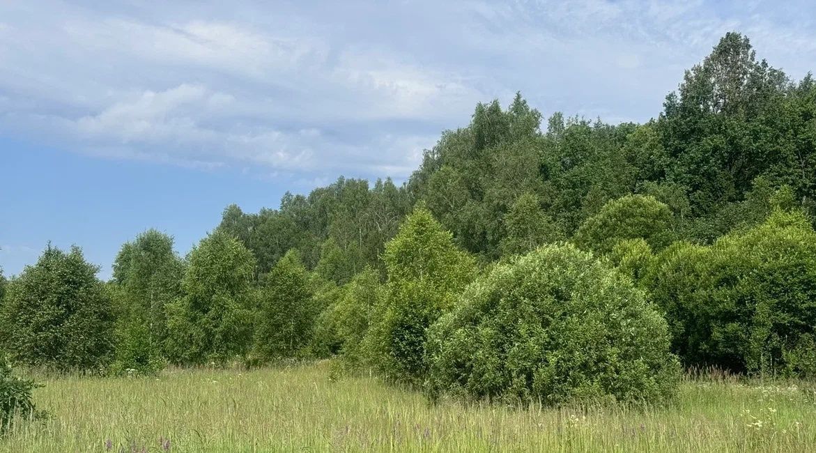 дом г Воскресенск снт Прибор Апрелевка, Наро-Фоминский городской округ фото 9