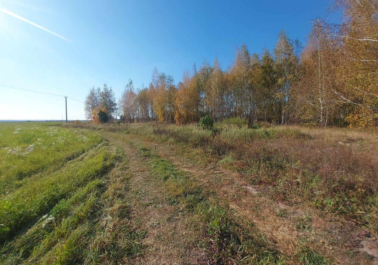 земля городской округ Раменский д Торопово 71, Бронницы фото 11